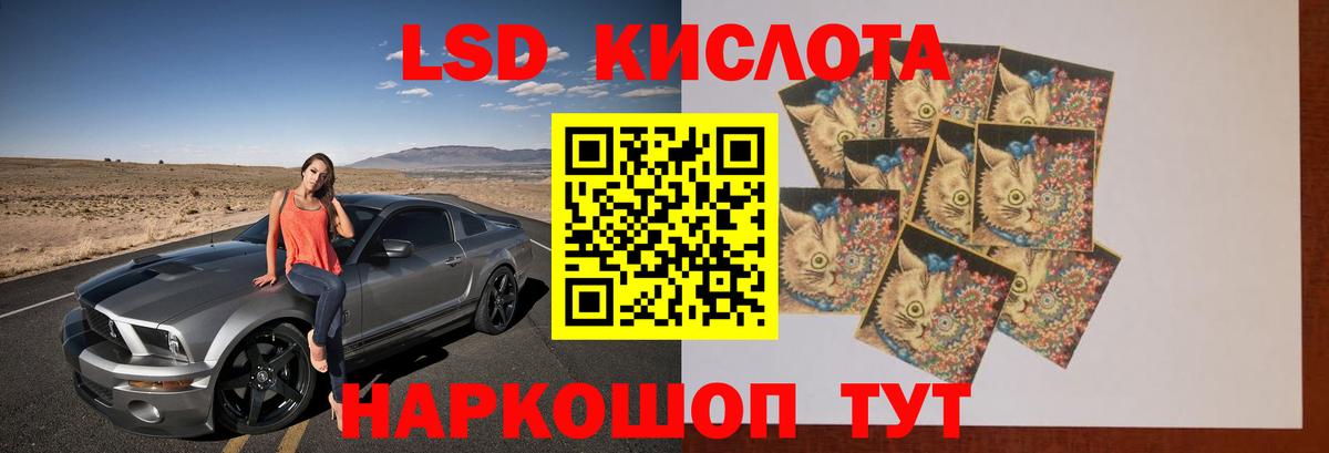 ссылка на мегу ссылка  LSD-25 экстази кислота  Лсд 25 экстази  Вход с VPN  Губкин 