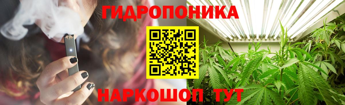 Бошки марихуана марихуана Губкин